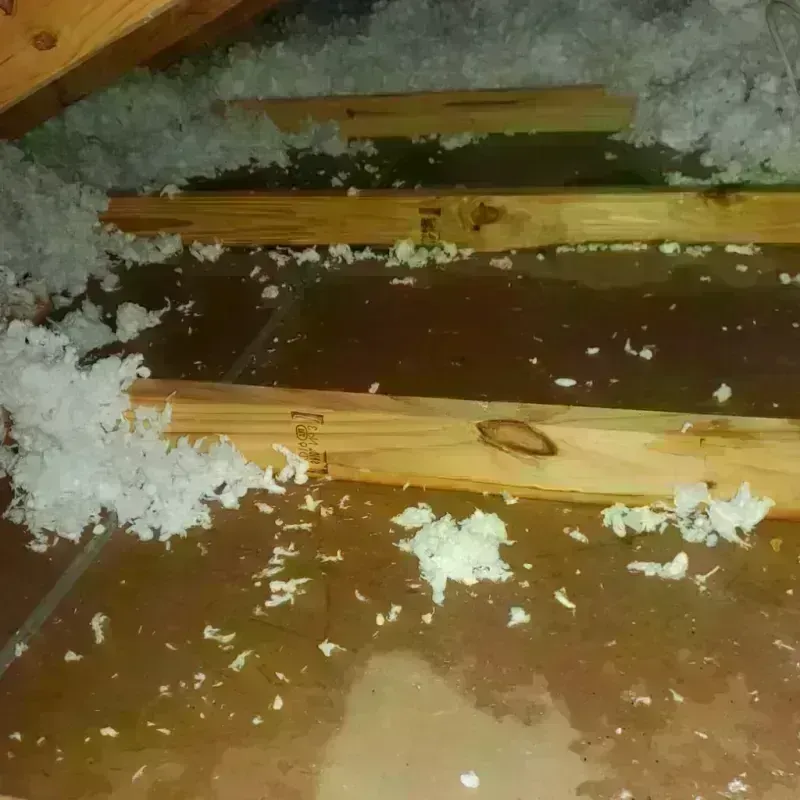 Attic Water Damage in Germantown Hills, IL